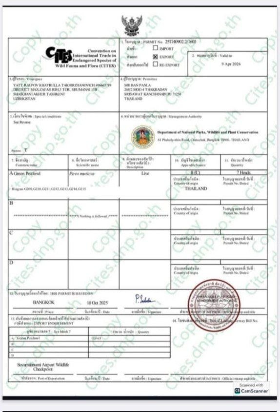 CITES Certificate