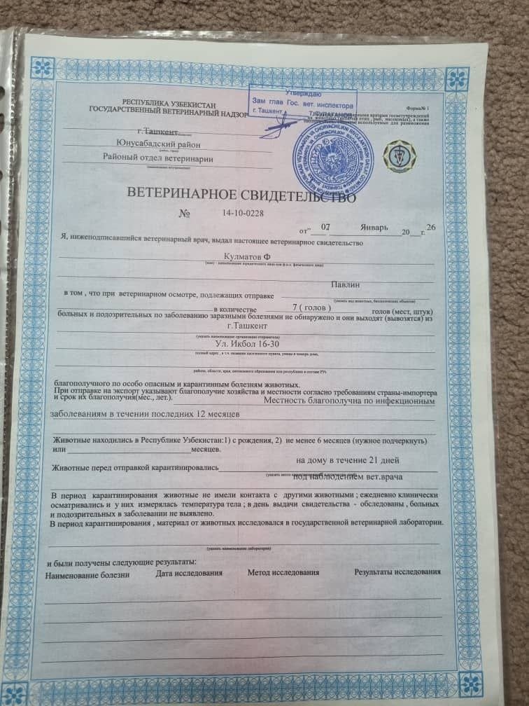 Ветеринарное свидетельство