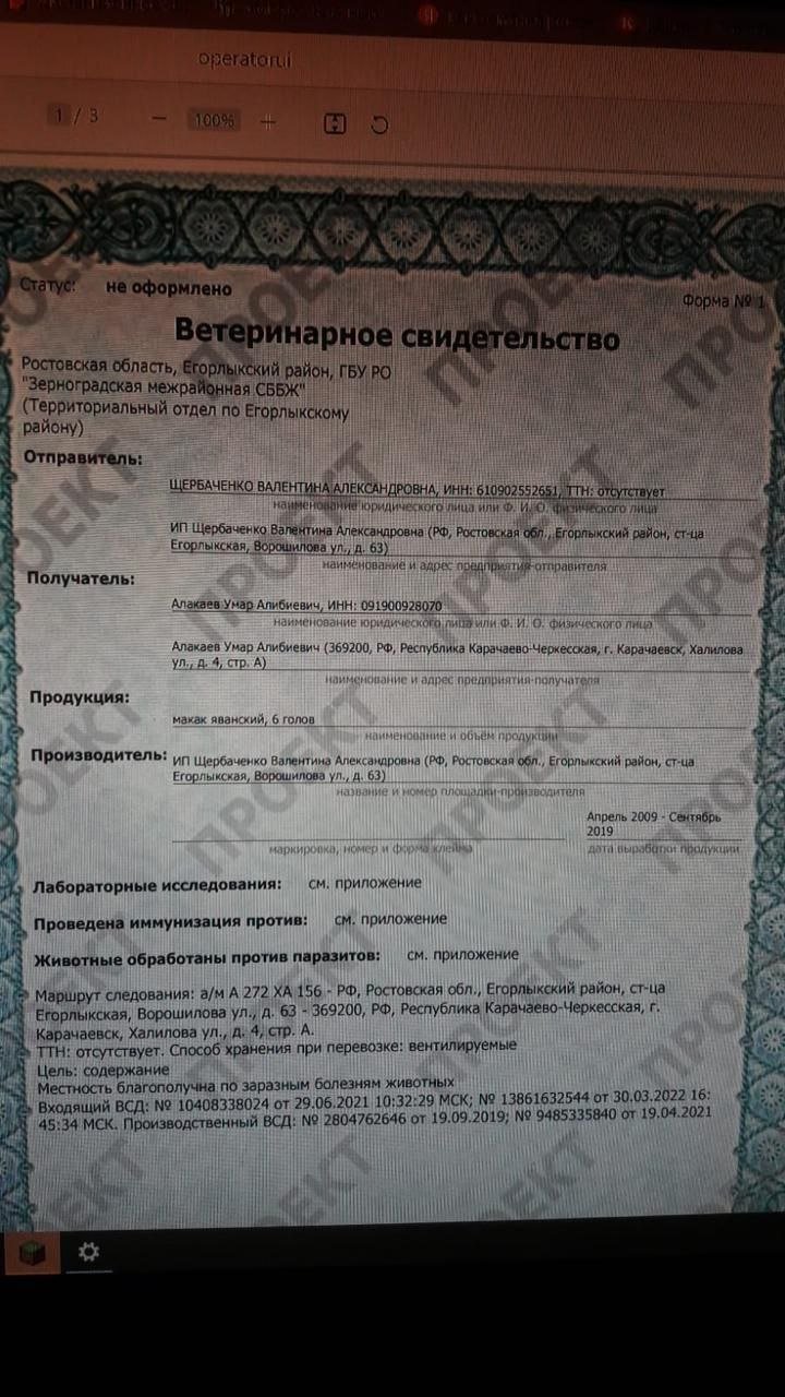 Ветсвидетельство Ростов