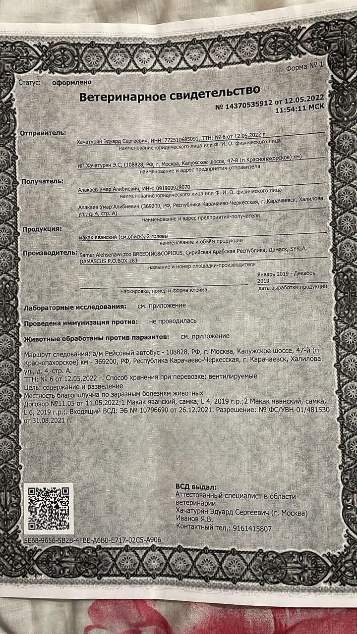 Ветсвидетельство Москва