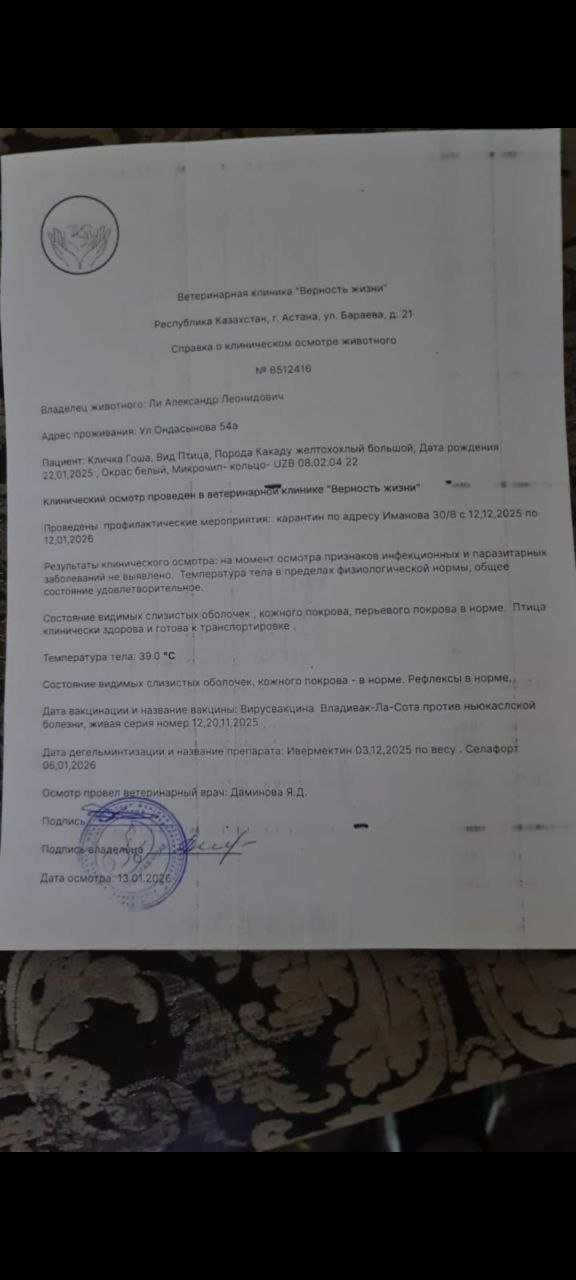Справка о клиническом осмотре