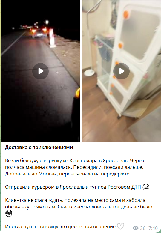 Отзыв