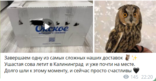 Отзыв