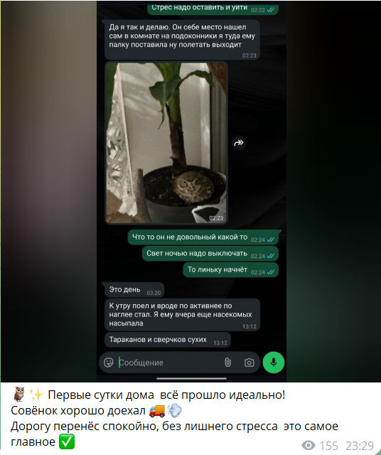 Отзыв